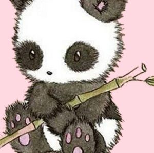 Meet your Posher, Kaylee